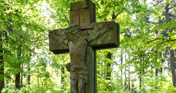 üllers Kreuz, ein historisches Steinkreuz im Wald bei Kaltenborn.