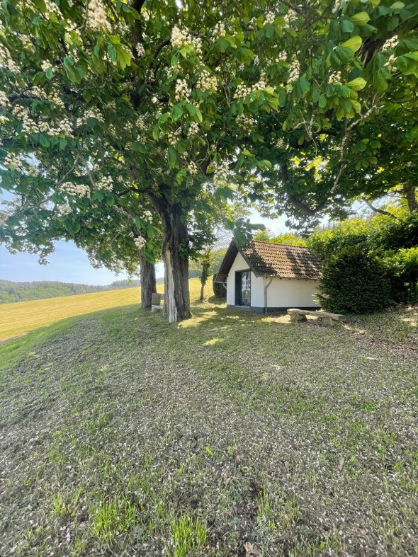 Außenansicht der weiß getünchten Wegekapelle in Kaltenborn