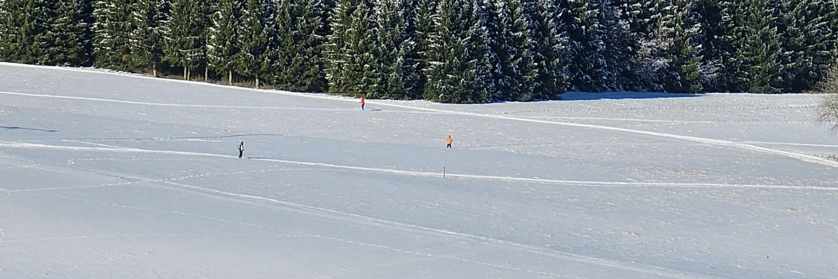 Verschneite Landschaft mit Tannenwald im Hintergrund. Mehrere Menschen sind in der Ferne zu sehen, wie sie über das Schneefeld laufen oder Ski fahren. Der Himmel ist klar und blau – es ist ein sonniger Wintertag.